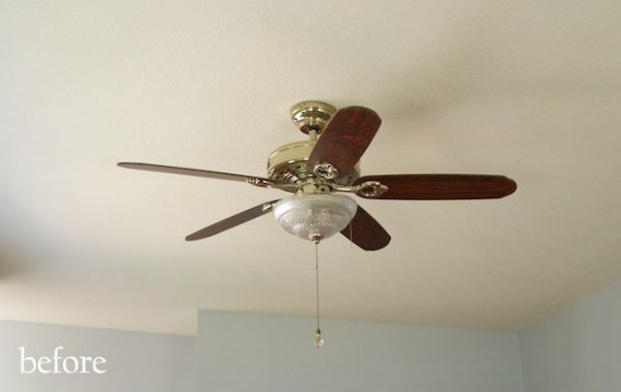 Fan before