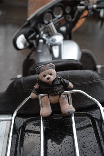 Bear on a Harley