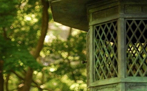 Peace Lantern, Golden Gate Park