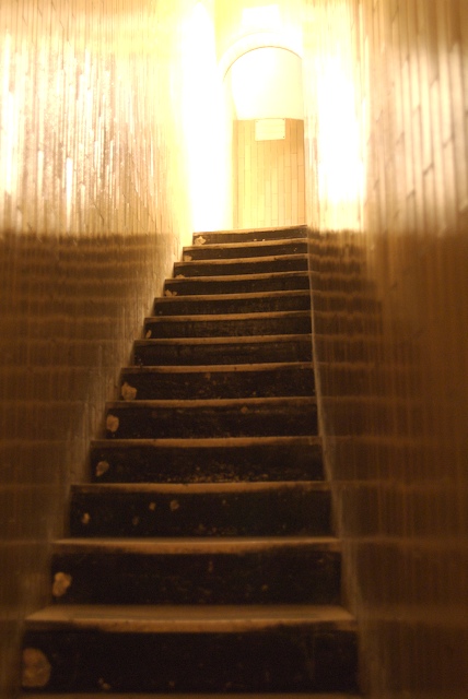 Stairs, St. Peter's Basilica