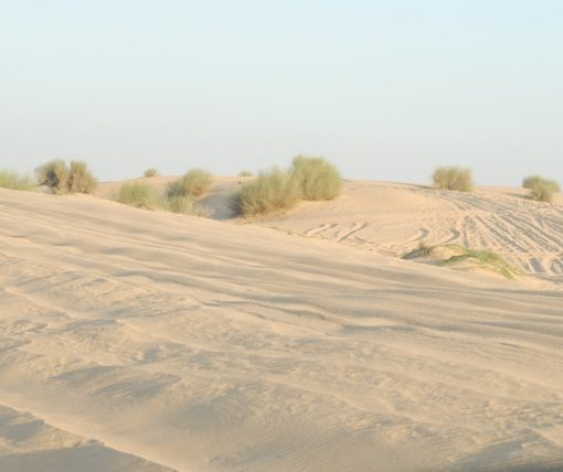 Desert Dunes, Dubai