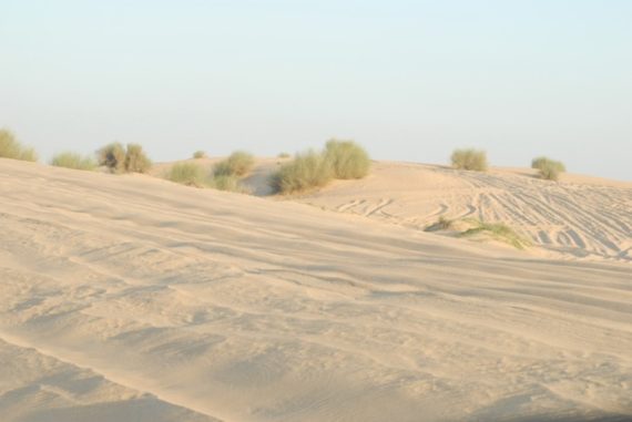 Desert Dunes, Dubai