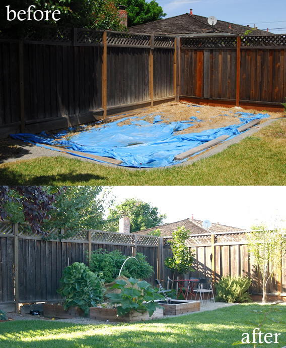 Before & After: Garden