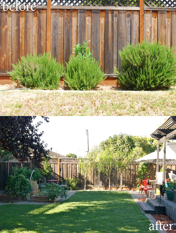 Before & After: Yard