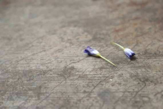 Two Flowers, Hog's Breath Inn Two Flowers, Hog's Breath Inn