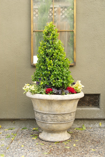 Flowers & Boxwood