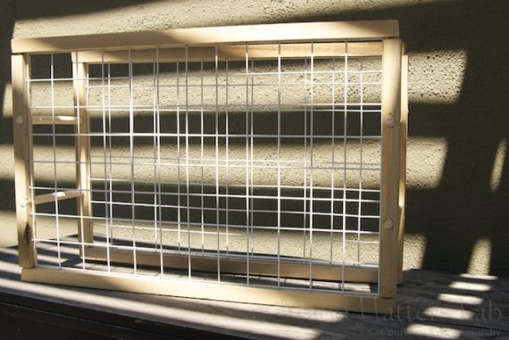 Test Tube Spice Rack Test Tube Spice Rack