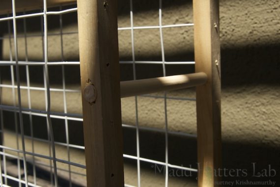 Test Tube Spice Rack Test Tube Spice Rack